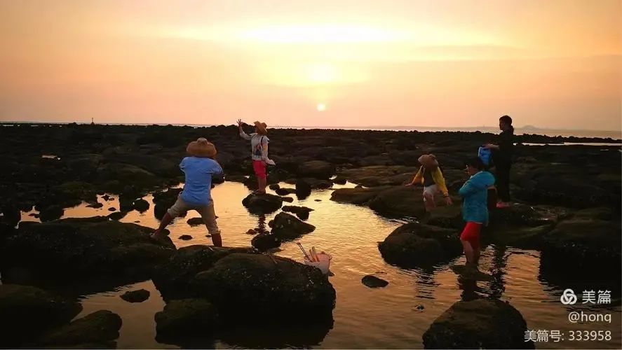 最新赶海视频，探索海洋宝藏，感受极致乐趣
