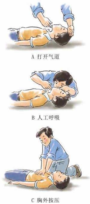 最新心肺复苏指南，守护生命的紧急更新